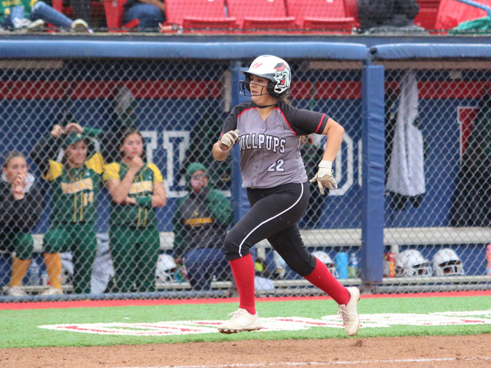 Late rally falls short, Bullpups end season as runner-up in Division II